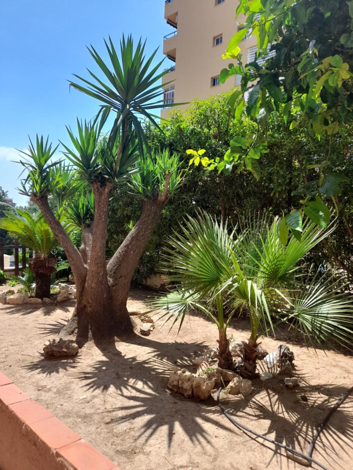Appartamento Torremolinos Centro Beach Esterno foto